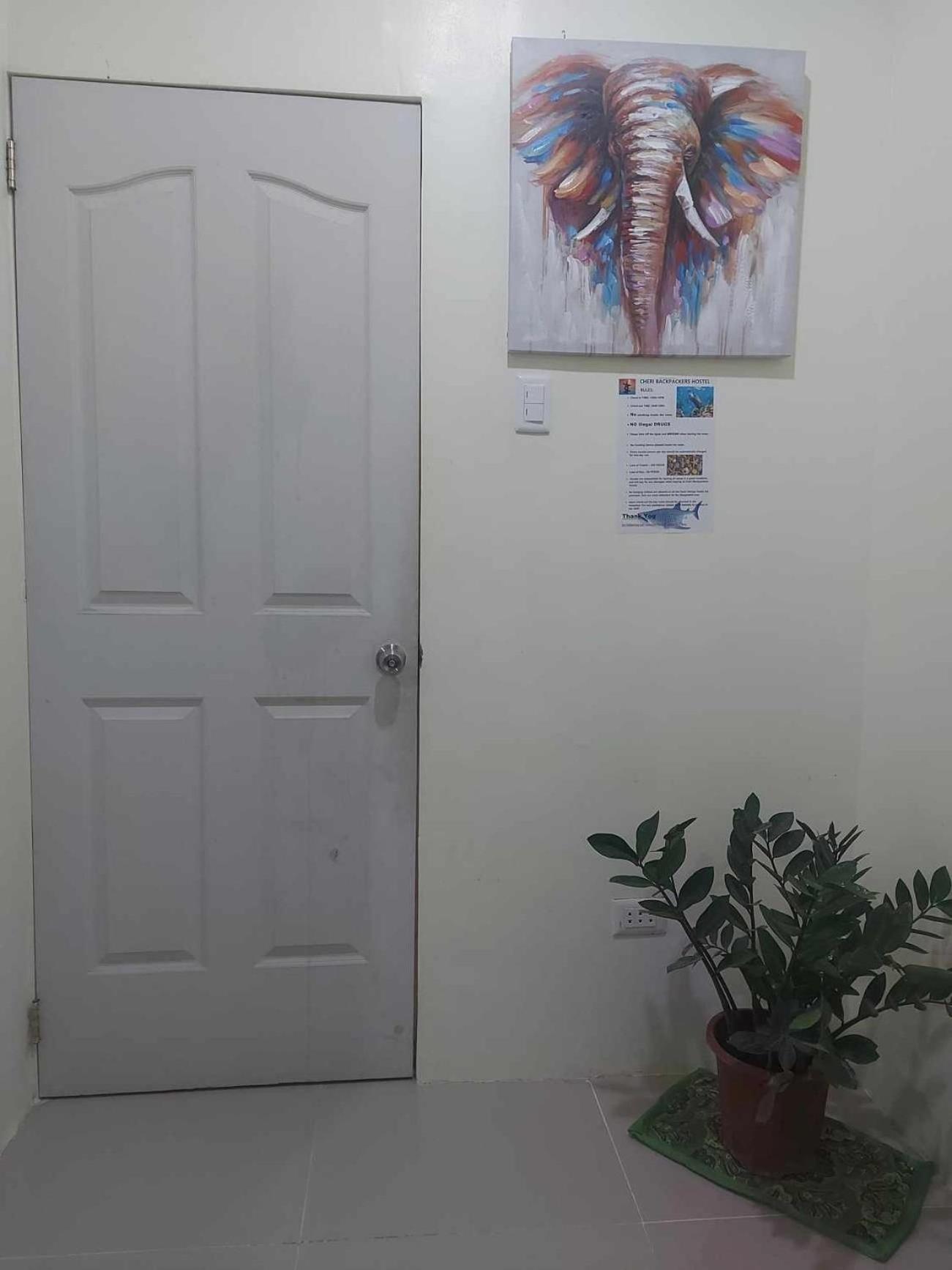Cheri Backpackers Hostel Moalboal Eksteriør billede